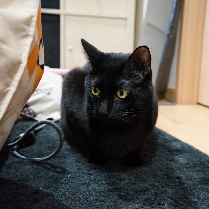 B2d9c078 2ff8 4aad b079 2739c56450b8 1516752240153