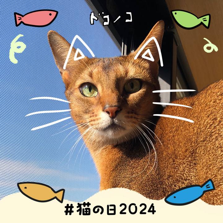 B2d9cbd2 6817 41db 894c 4e7bd06b30f6 1708610717166