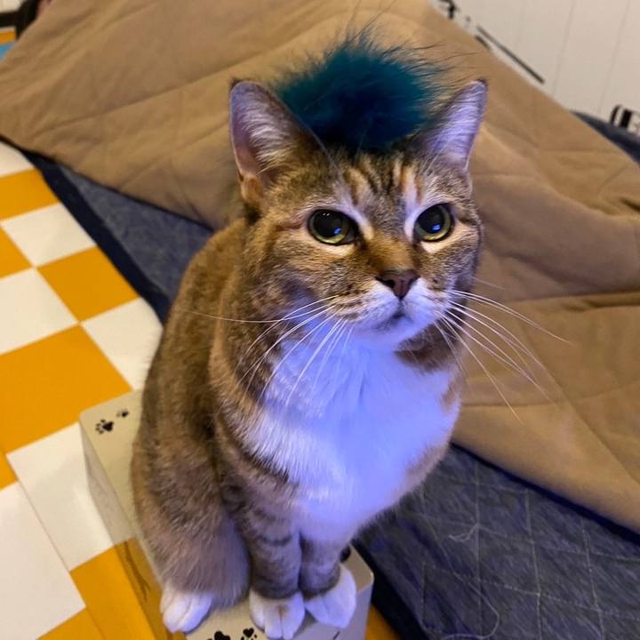 B2d9ed6f 499a 4b23 b11a 006293865ae2 1713195415066