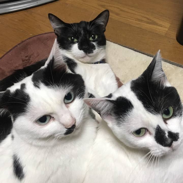 B2da0a32 d35a 479c a858 6b339962443c 1615007384457