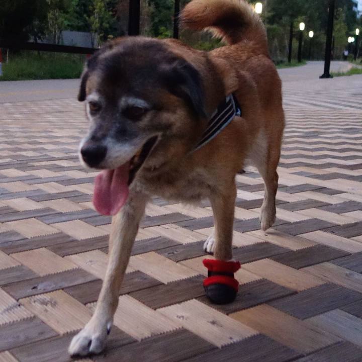 B2da394a c69d 46d6 999c 74f6d954caee 1643678413490