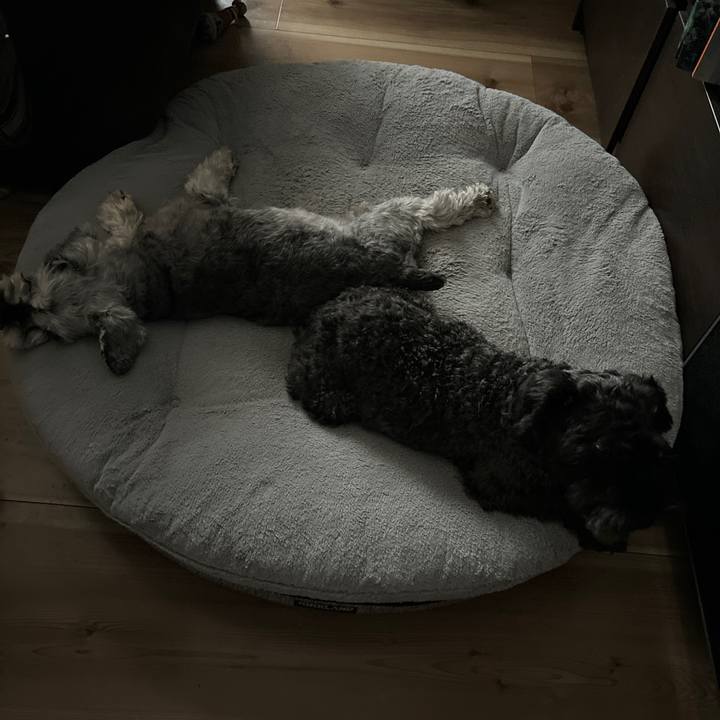 B2da62a0 033f 4873 bd97 f06638b65274 1700278616272