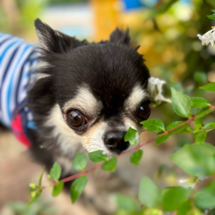 B2da8c65 ab94 4fd4 8f20 4a052959279d 1720283102171