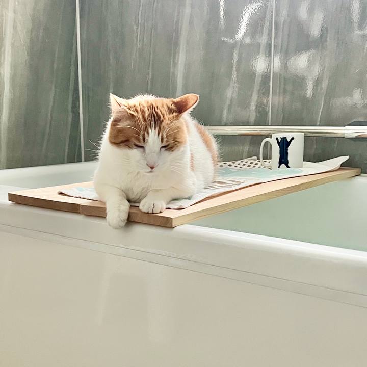 B2dabd08 8016 4bc4 99e3 25062f1d5600 1772323517245