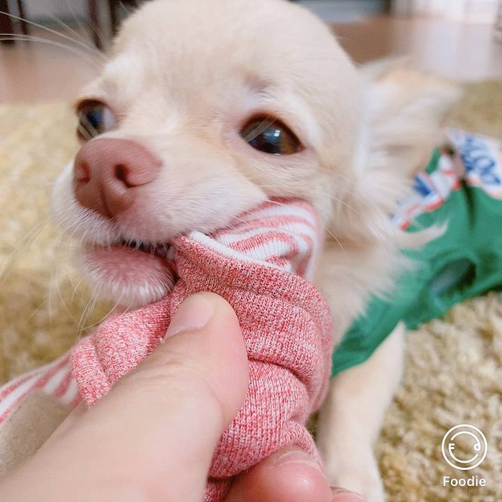 B2db1d9b a30b 4c62 8092 092b1a22552b 1598846306293