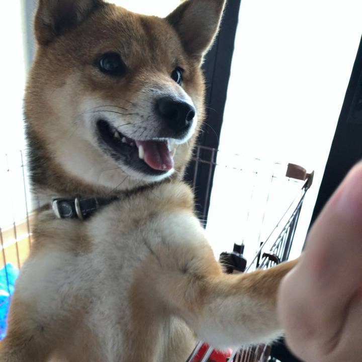 B2db3bc6 89f6 446f bbaa 2d0485cbd9d9 1531049559639