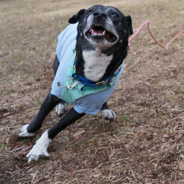 B2db63e5 cddb 4b72 8508 ac68257b2e6b 1771373159130