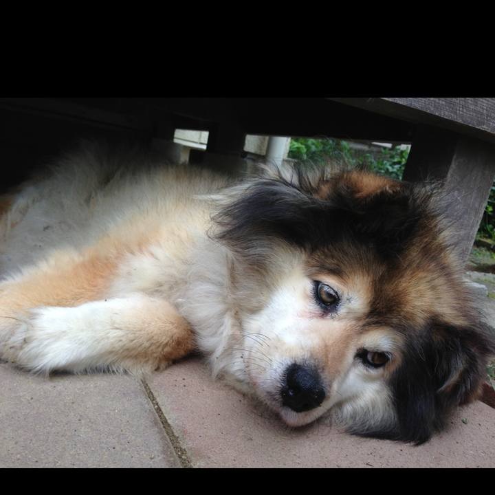 B2db75a0 1ff4 4d8d 841c c62de4adbc7a 1578989026277