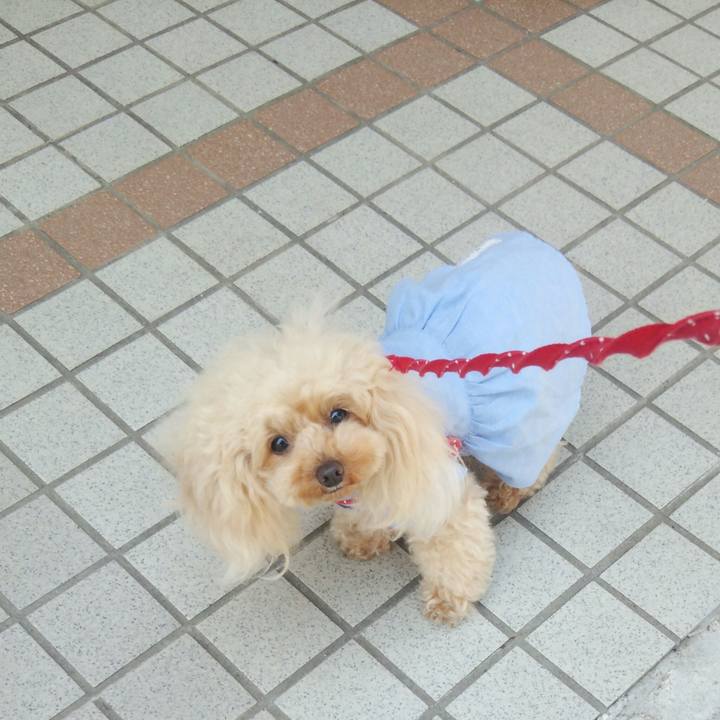 B2db9541 8a20 4d77 9b14 5e4e1e4b5332 1558270148482