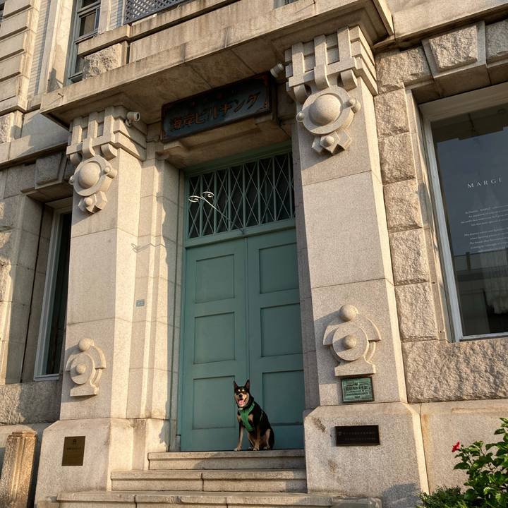 B2db9cbf 7045 4f48 93ac 06bb4cc39b09 1598761084805