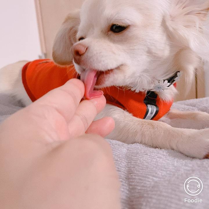 B2dbce0f 3adb 403b acf9 3c630466df47 1605758769192