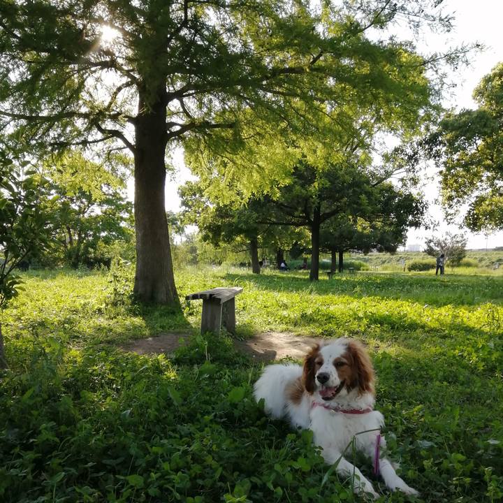 B2dc1f0e 5b58 46b5 9497 2211ed06282d 1622374823136