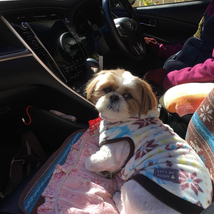 B2dc23ee 372e 4492 8c2e 05bd2b3139f7 1510453160193