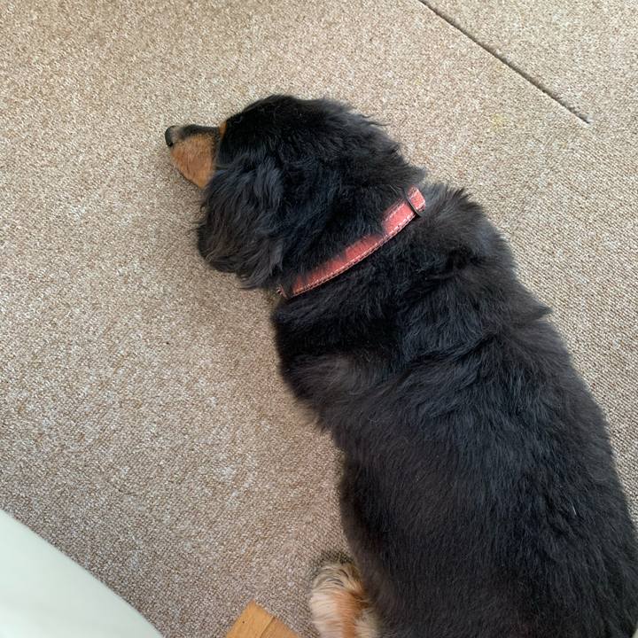 B2dc7ffa 84f6 4f58 a089 ac55de4fb9d4 1588547540492