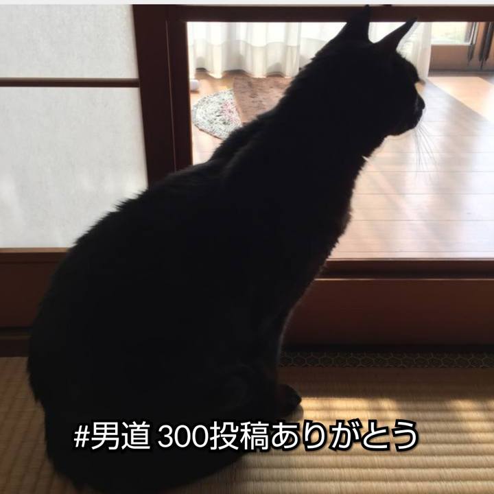 B2dc84f7 bcdc 4c0e 95bb d0f64fd4e661 1555663099160