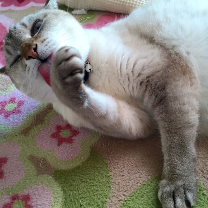 B2dc8a4e 9254 4d6d a748 e3945e41f05f 1540777020993