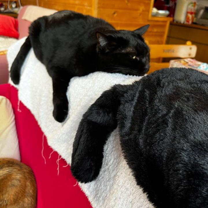 B2dc9e46 59cb 45ee 9eae 05dd844ee8cc 1732487057729