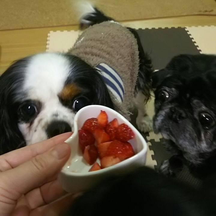 B2dceedb 229e 4c00 a9c3 ce8468114cbb 1520603010280