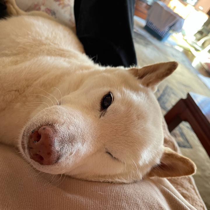 B2dd16a8 47e7 4466 9187 4c5362968215 1638686169504