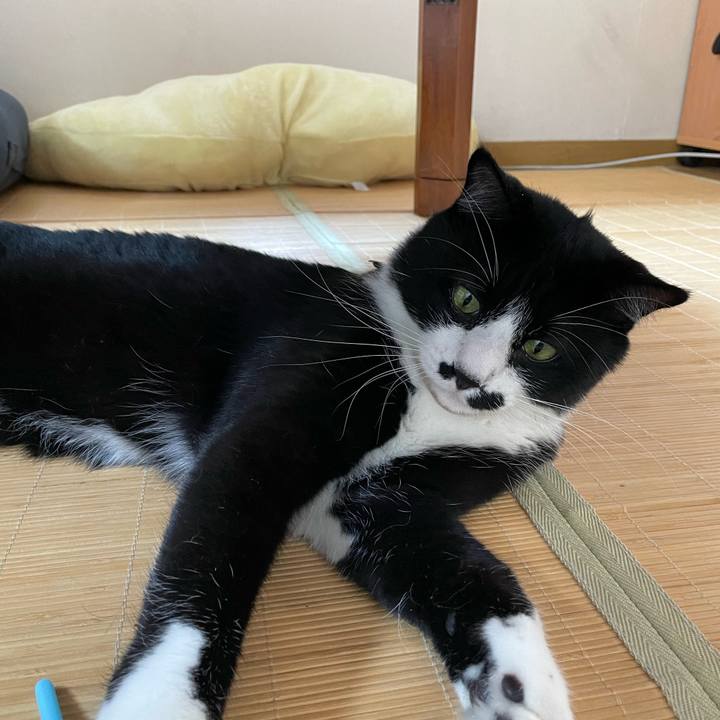 B2dd1d3c f4e6 4cc1 8da0 d046cd2c7fe6 1656726731497