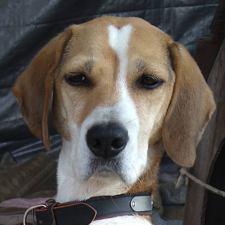 B2dd2451 b42c 4b25 b605 6d78d9f1066c 1636384098240