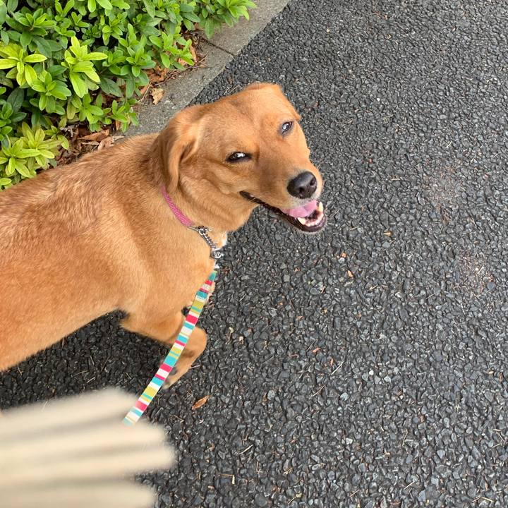 B2dd271e a7ad 4e65 bb7c f540fb76f4f6 1570014642680