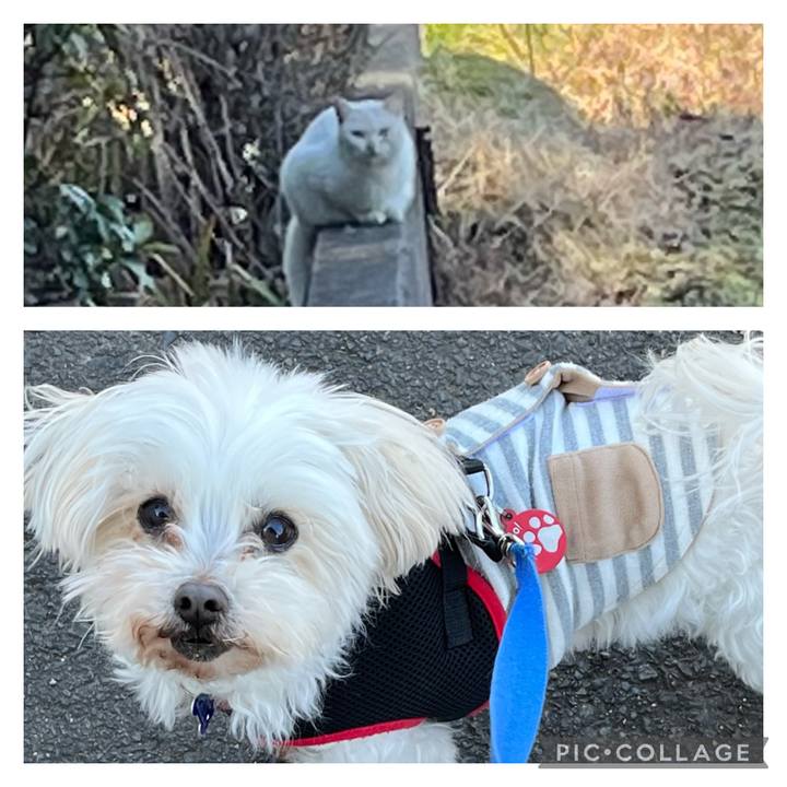 B2dd3fa3 25aa 44ce 83c7 17cf15869fc7 1675657187017