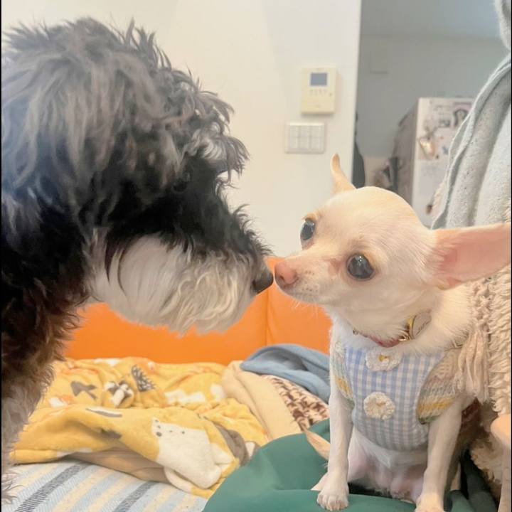 B2dd5228 1f0a 4967 8f81 83bebd57c75b 1744541436605