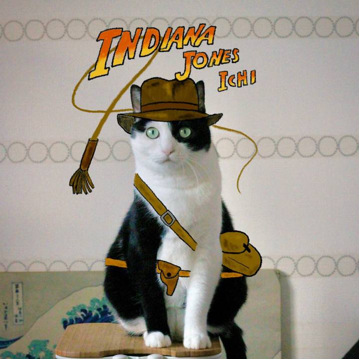 B2dd85cd dd51 427f 9a24 49b1555e51bb 1687740756669