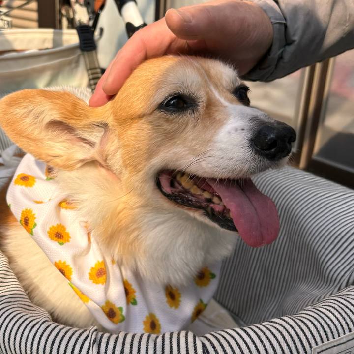 B2dd984e 9d56 4ced 9584 01181f8f655a 1771812789803