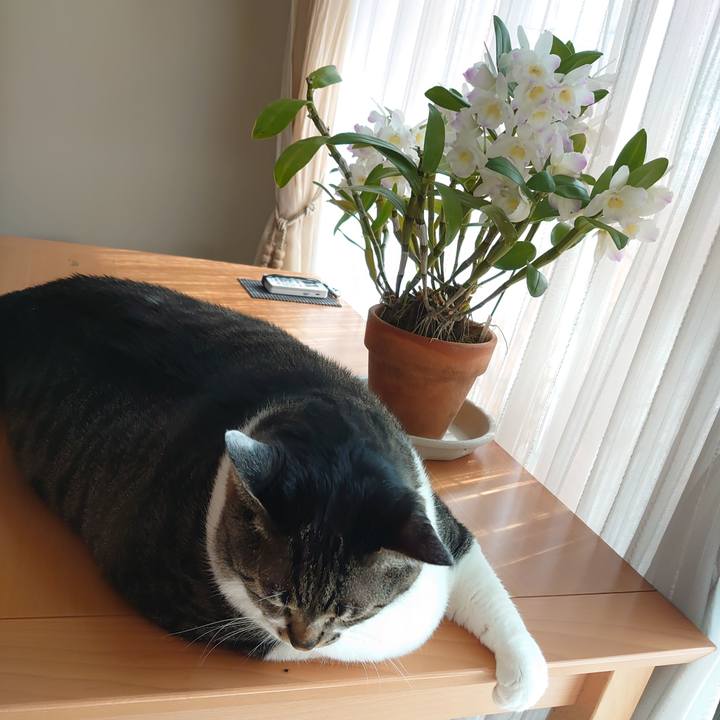 B2ddad76 2c91 4189 b11c 7b6eb1d97daf 1592615741756