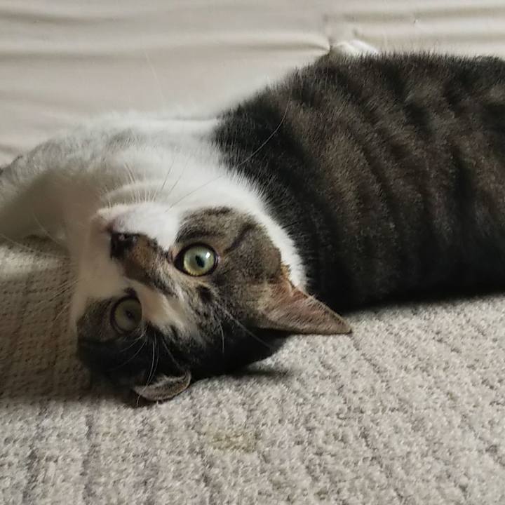 B2ddb94e 71d9 44a6 ba5c 14572cdec32f 1605282064329