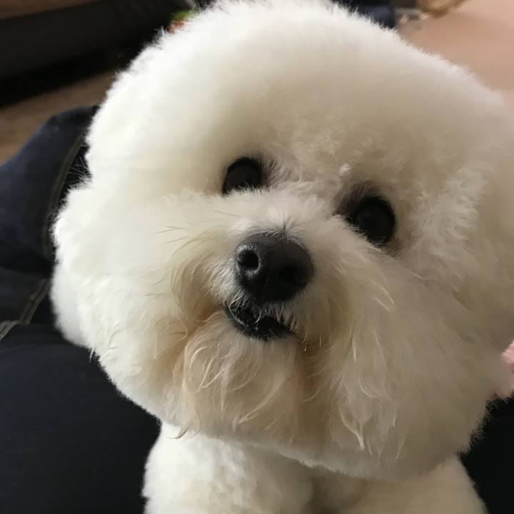 B2ddcb10 5d5c 4efe 9c2e c1a0ea8fbffe 1554448078364