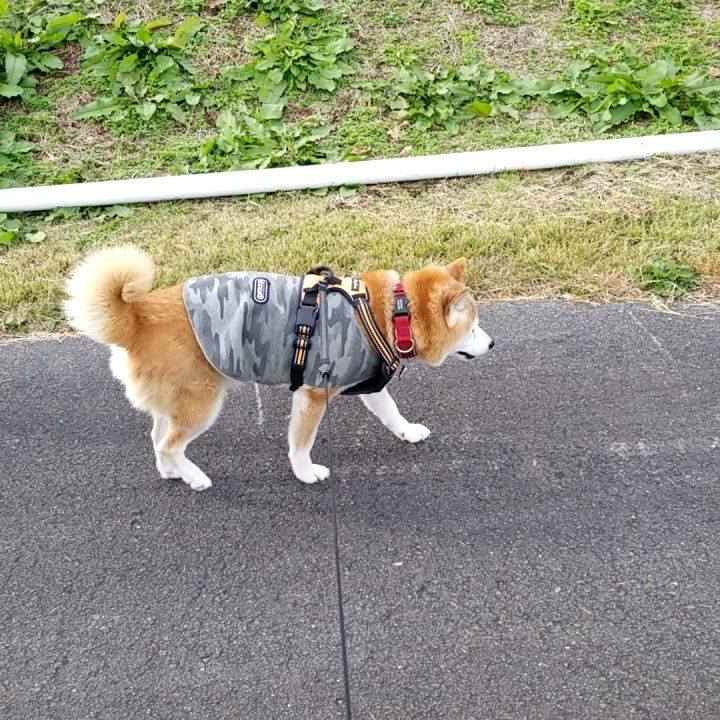 B2ddeb6b 38d1 487d 90c3 6ab6f36d6df1 1732682660499