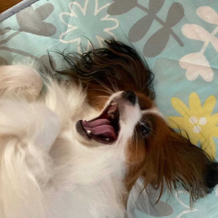 B2ddf885 1208 48b9 bc55 fed623341ea7 1630620584299