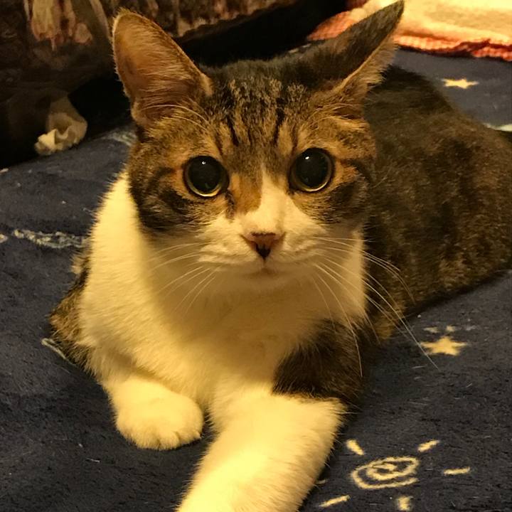 B2de476c 8aa7 448f 97de 413c0e357bad 1523376262819