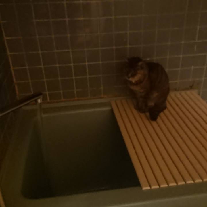 B2de520a 2ab4 40ca bc65 20f35a0b71ee 1572253203930