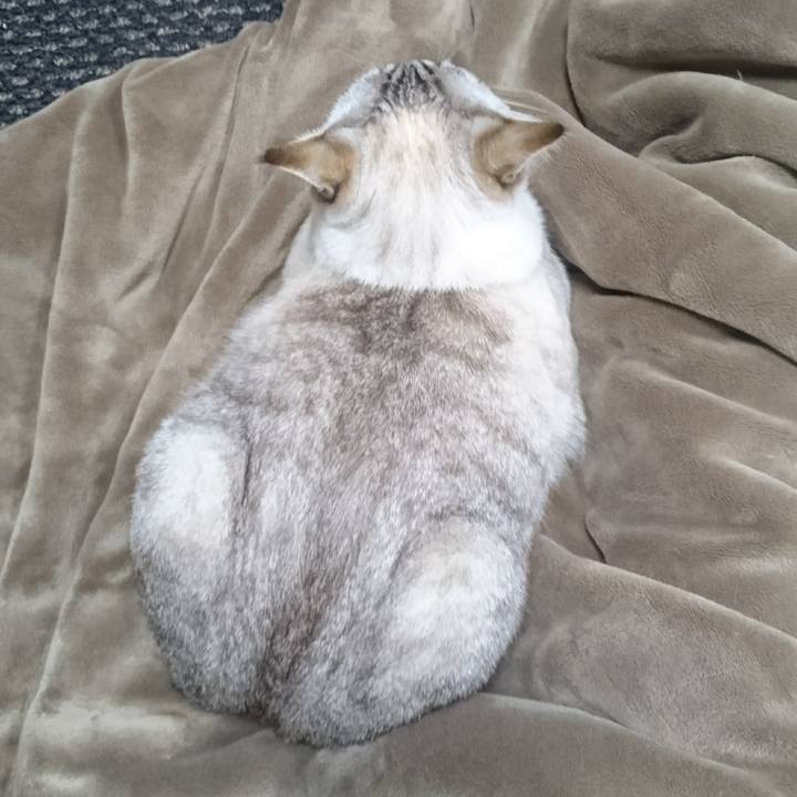 B2de95b4 f17d 4d76 9f92 e715a897d515 1510150977303