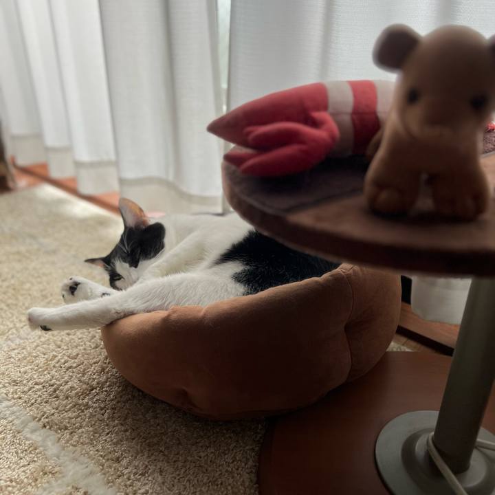 B2dea048 8d70 495e ab65 addf91d2b642 1727966330758