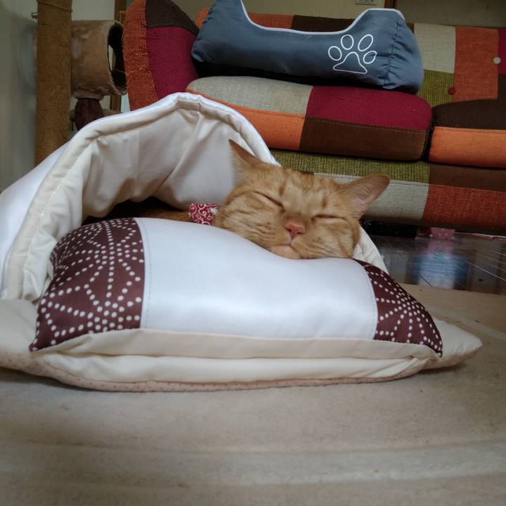 B2dea671 406e 4ca6 a775 5f25321b9565 1619084681239