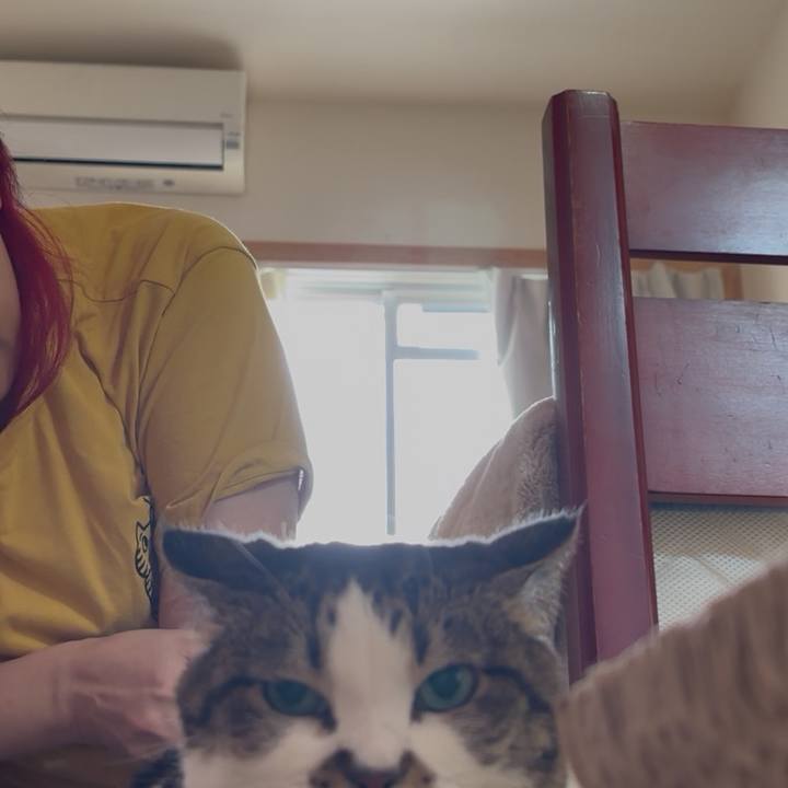 B2dea7c8 e617 45f5 a498 a41c112af6dd 1761175488746