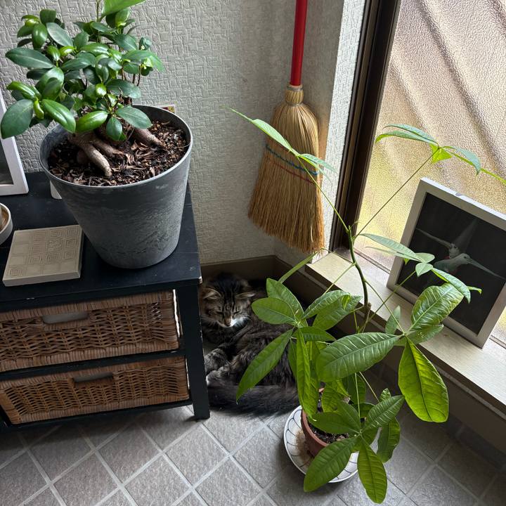 B2debcd0 c397 4e00 8c09 55e743c4ff5a 1750556967054