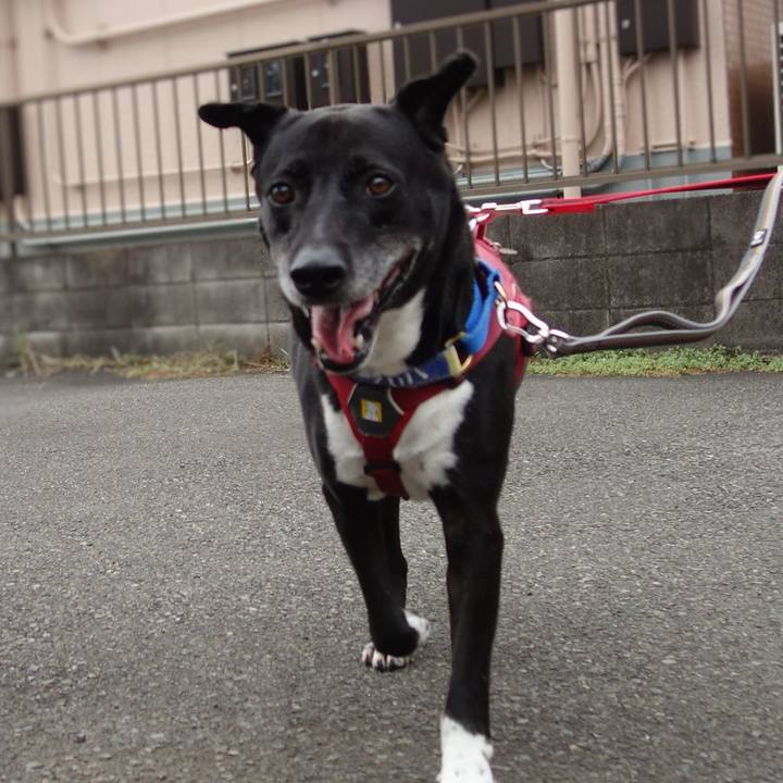 B2dec383 adb7 47f0 8436 3c6055fc7748 1689380990942