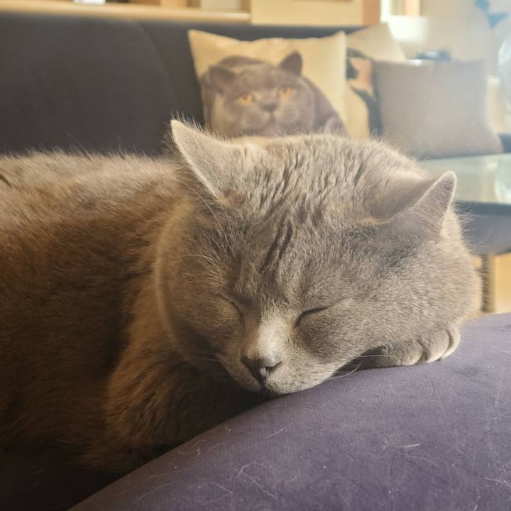 B2df5f72 3d50 4866 8172 24250ce688ca 1647483540213