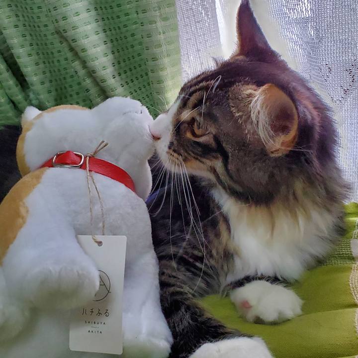 B2df7a97 43be 4bc1 af5f 0fbbf115544f 1662951505443