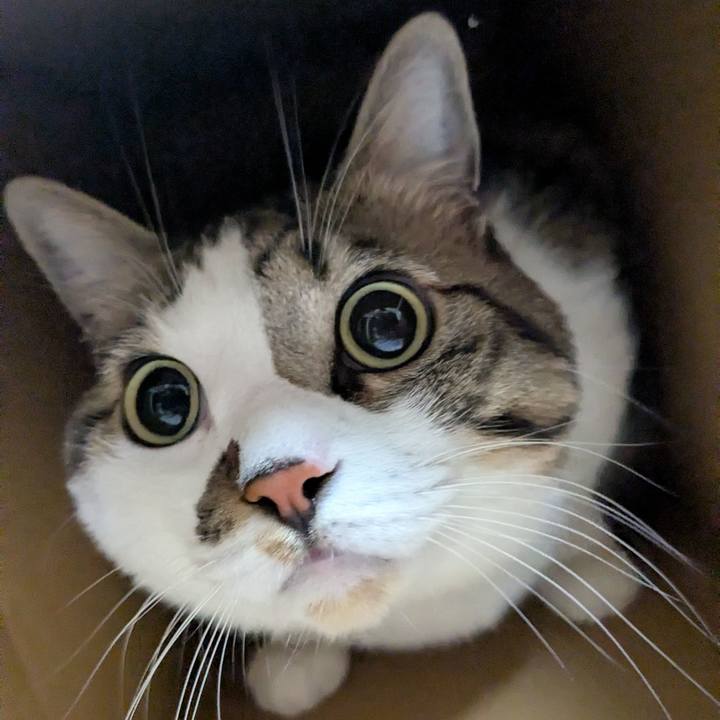 B2df89da cdfe 472f b5a0 07f03cee05b5 1765314195329