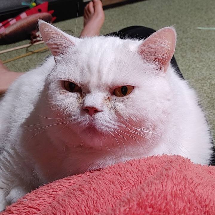 B2df8c9d 299b 4a63 aa4b b9b42e1be895 1739614928347