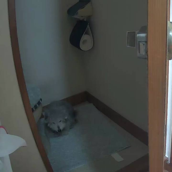 B2df90a3 e2b3 4e3f ad0a 3831296878b7 1614333148643