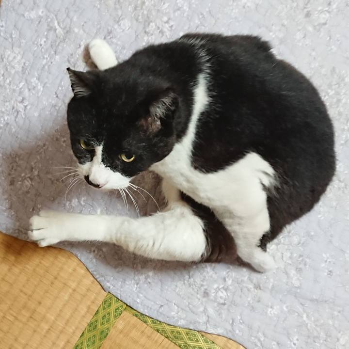 B2dfb07e 655e 43bc 86ff 064d0502cb05 1619682527462