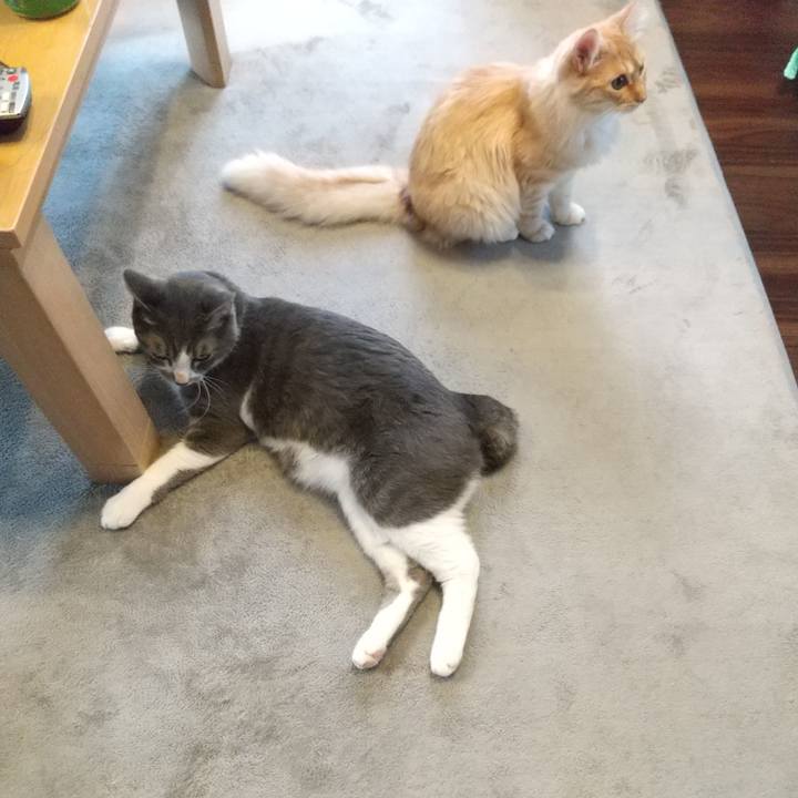 B2dfbc26 b6c9 4d8a 9a5b fa8fb4adbf38 1620387989141